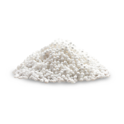 Sago Seeds - A Kilo of Spices
